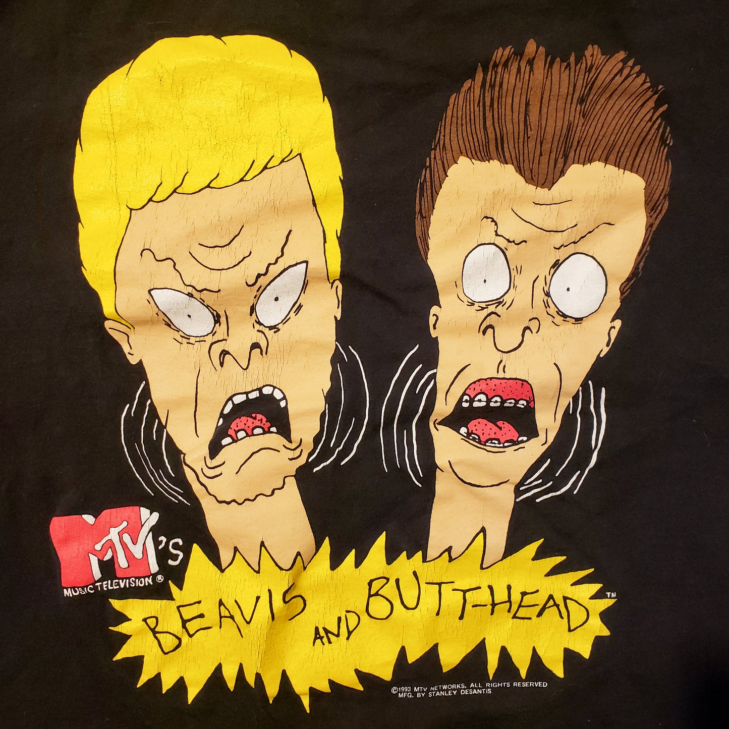 Beavis and Butthead- Big Face